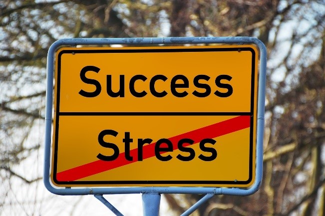 successstress